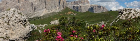 Non solo Scuola Natura in Val di Fassa