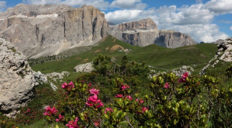 Non solo Scuola Natura in Val di Fassa